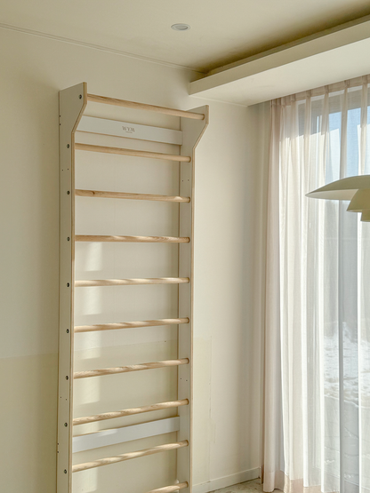Early Bird Ladder & Pull-Up Bar Set (20% OFF)