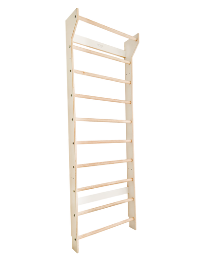 Early Bird Ladder & Pull-Up Bar Set (20% OFF)